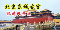 啊不要要高潮了日韩中国北京-东城古宫旅游风景区